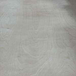 4'x9' Birch plywood unfinished